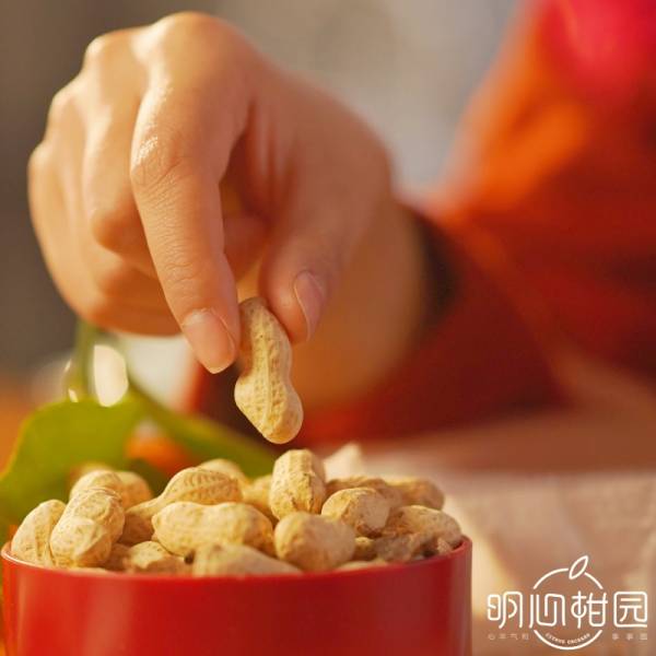 珍嗨皮·陈皮花生 - 图片 5